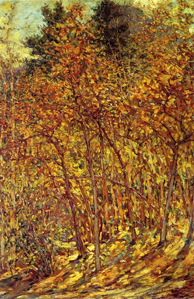 Sole d'autunno